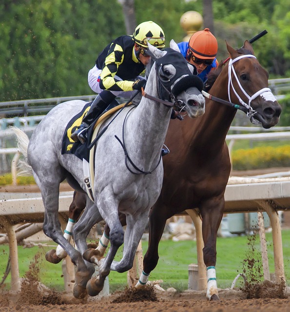 来引人注目 来引人注目